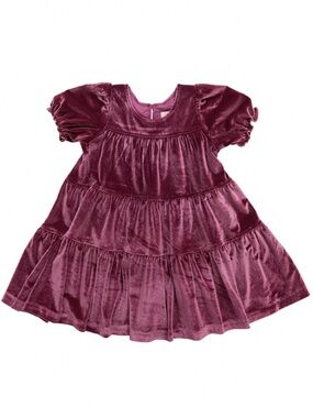 Pink Chicken- Girls Velour Elizabeth Dress EUC